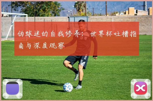 伪球迷的自我修养：世界杯吐槽指南与深度观察